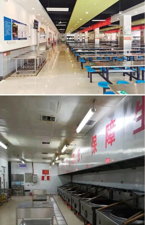 河北邢臺市創建省級校園食品安全標準食堂44家，助推正餐服務再上臺階